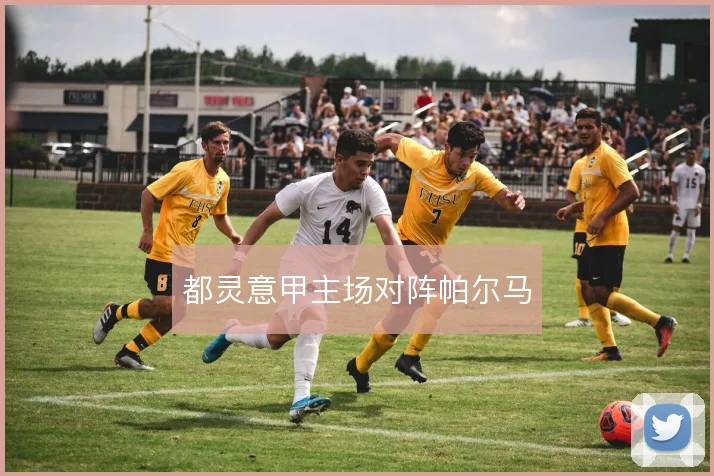 都灵意甲主场对阵帕尔马