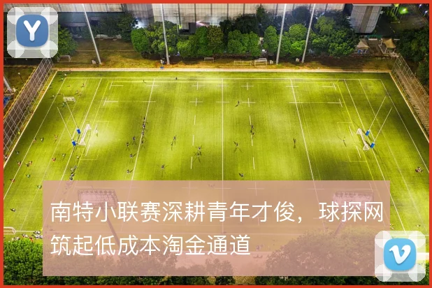 南特小联赛深耕青年才俊，球探网筑起低成本淘金通道