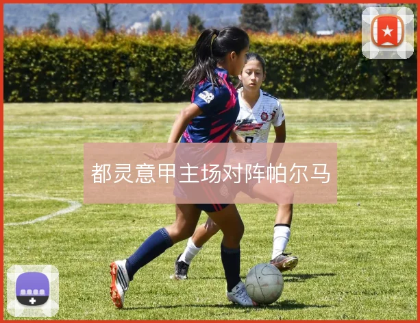 都灵意甲主场对阵帕尔马