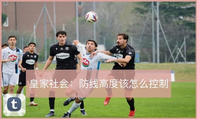 皇家社会：防线高度该怎么控制