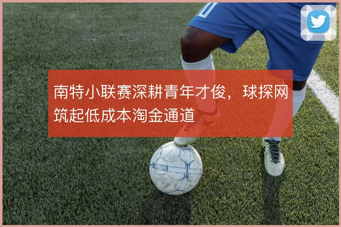 南特小联赛深耕青年才俊，球探网筑起低成本淘金通道